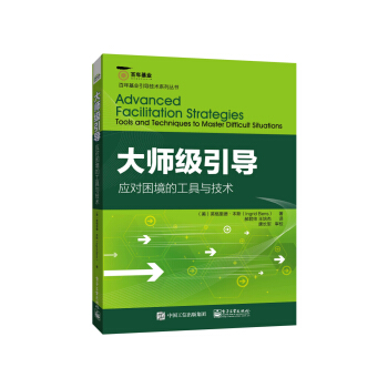 大師級引導：應對睏境的工具與技術 pdf epub mobi 下载