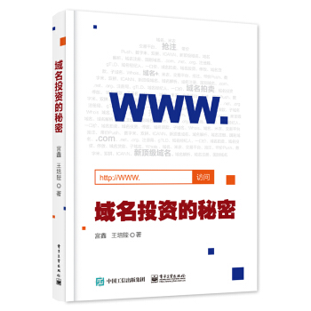 域名投资的秘密 pdf epub mobi 下载
