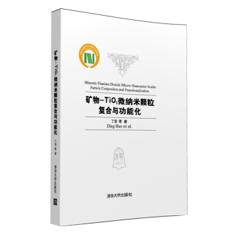 矿物-TiO2微纳米颗粒复合与功能化 pdf epub mobi 下载