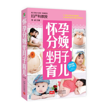懷孕分娩坐月子育兒 pdf epub mobi 下载