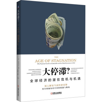 大停滯？全球經濟的潛在危機與機遇 pdf epub mobi 下载