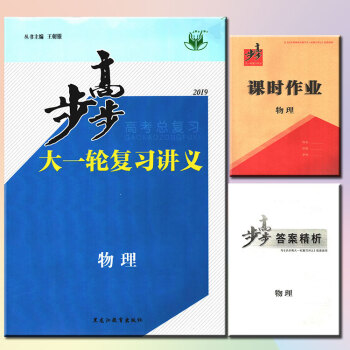 2019版 步步高大一轮复习讲义物理 新课标 主编/王朝银 步步高高考总复习物理 步步高 高考物理
