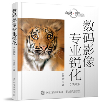 数码影像专业锐化（典藏版） pdf epub mobi 电子书 下载