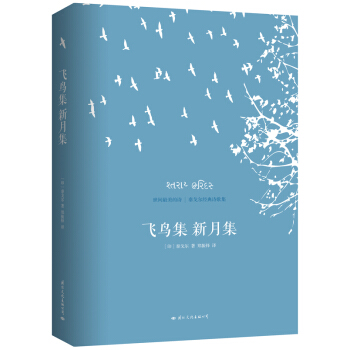 飞鸟集 新月集：泰戈尔经典诗歌集 pdf epub mobi 下载