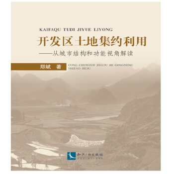 开发区土地集约利用：从城市结构和功能视角解读 pdf epub mobi 下载