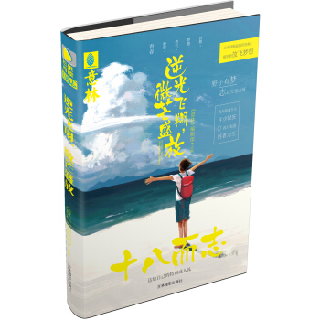 十八而志系列：逆光飞翔，微芒盛放 pdf epub mobi 下载