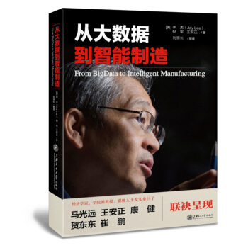 从大数据到智能制造 pdf epub mobi 下载