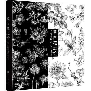 黑白花之绘——为青春绘出100朵花意 pdf epub mobi 下载
