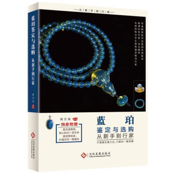 蓝珀鉴定与选购从新手到行家 pdf epub mobi 下载