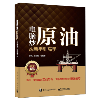 电脑炒原油从新手到高手 pdf epub mobi 下载