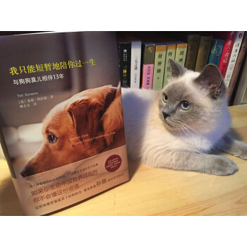 我隻能短暫地陪你過一生（孫儷感動作序推薦） pdf epub mobi 下载