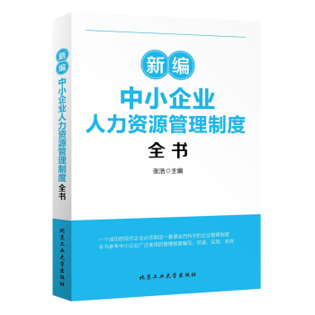 新编中小企业人力资源管理制度全书 pdf epub mobi 下载
