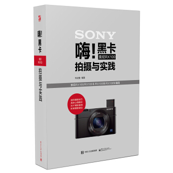 嗨!黑卡索尼RX100拍摄与实践（全彩） pdf epub mobi 下载
