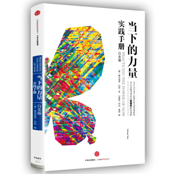 当下的力量实践手册（白金版） [Practicing the Power of Now] pdf epub mobi 下载