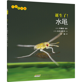 生命的故事：诞生了！水黾 [3-10岁] pdf epub mobi 下载