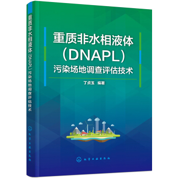 重質非水相液體（DNAPL）汙染場地調查評估技術 pdf epub mobi 下载