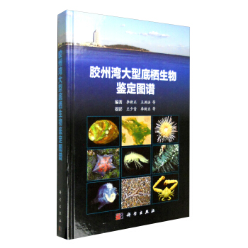 膠州灣大型底棲生物鑒定圖譜
