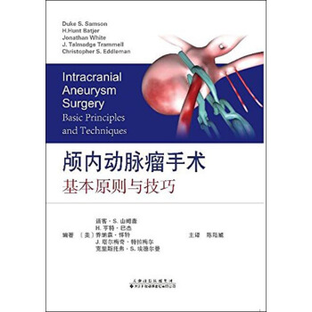 顱內動脈瘤手術：基本原則與技巧 pdf epub mobi 下载
