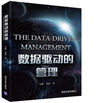 数据驱动的管理 pdf epub mobi 下载