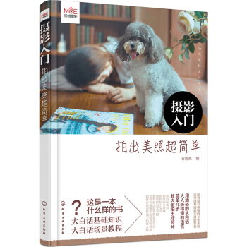 摄影入门：拍出美照超简单 pdf epub mobi 下载
