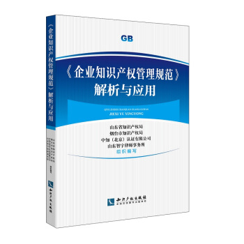 企业知识产权管理规范 解析与应用 pdf epub mobi 下载