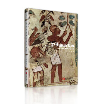 植物在丝绸的路上穿行 许晖 pdf epub mobi 电子书 下载