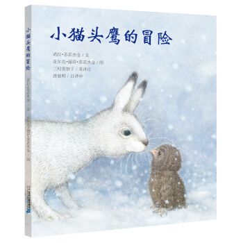 世纪绘本花园：小猫头鹰的冒险 pdf epub mobi 电子书 下载