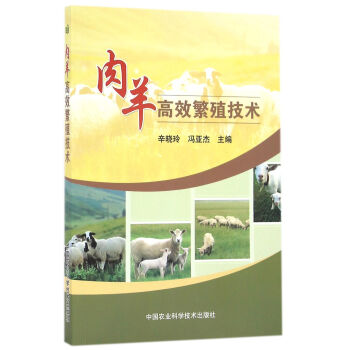 肉羊高效繁殖技术