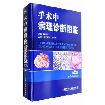 手术中病理诊断图鉴（第2版） [Intraoperative Pathologic Diagnostic Illustrations(The 2nd Edition)] pdf epub mobi 下载