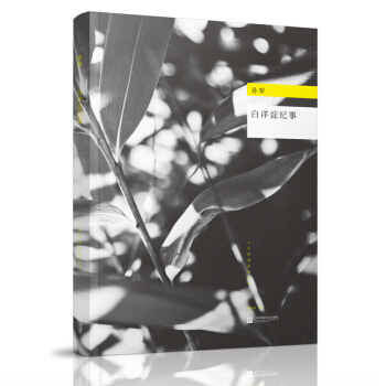 白洋澱紀事 pdf epub mobi 下载