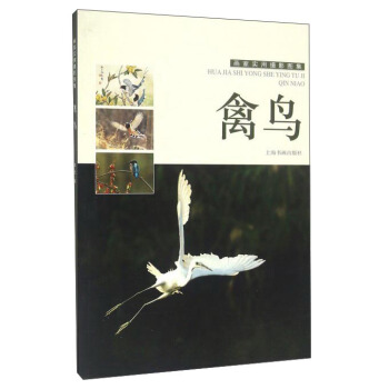 禽鳥 pdf epub mobi 電子書 下載