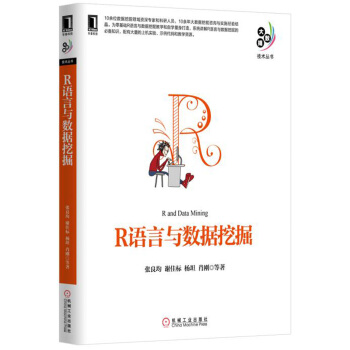 R语言与数据挖掘 pdf epub mobi 下载