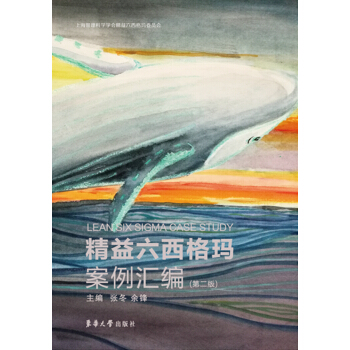 精益六西格玛案例汇编（第二版） pdf epub mobi 下载