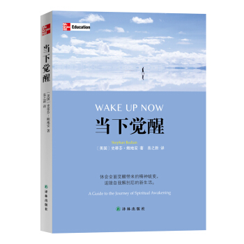 當下覺醒 pdf epub mobi 下载