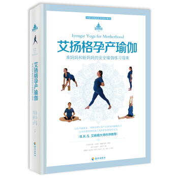 艾扬格孕产瑜伽:准妈妈和新妈妈的安全瑜伽练习指南