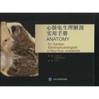 心脏电生理解剖实用手册 pdf epub mobi 下载