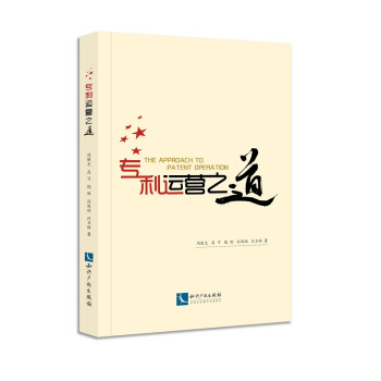 专利运营之道 pdf epub mobi 下载