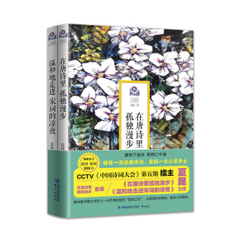 在唐诗里孤独漫步(套装共2册)
