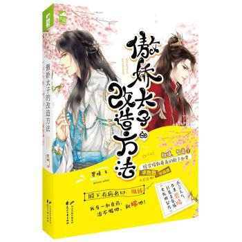 傲娇太子的改造方法 pdf epub mobi 下载