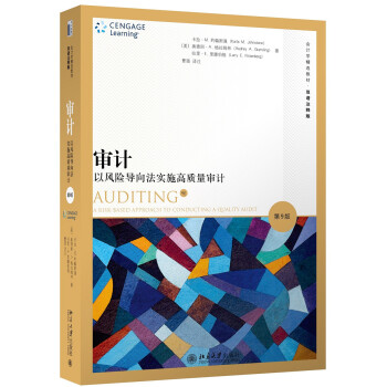 审计 以风险导向法实施高质量审计（第9版） pdf epub mobi 下载