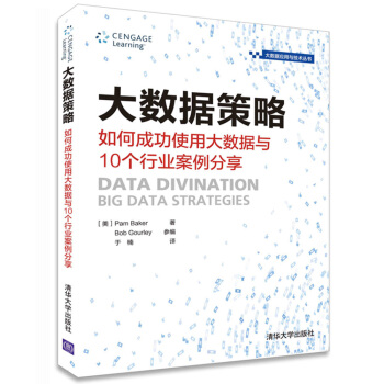 大数据策略 如何成功使用大数据与10个行业案例分享/大数据应用与技术丛书 pdf epub mobi 下载
