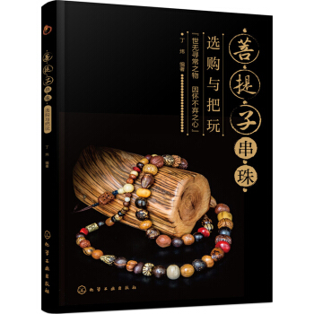 菩提子串珠选购与把玩 pdf epub mobi 下载