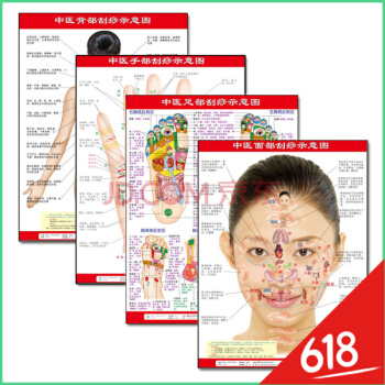 中医挂图中医手足面背部刮痧示意图 人体经络挂示意图 家庭保健图医用（共4张） pdf epub mobi 下载