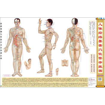 人体经络要害穴位警示挂图/家庭保健疗法 儿童经络穴位图 按摩图 家庭健康养生保健大挂图 pdf epub mobi 下载
