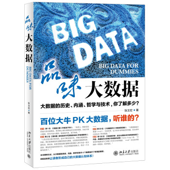 品味大数据 pdf epub mobi 下载