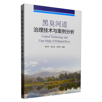 黑臭河道治理技術與案例分析