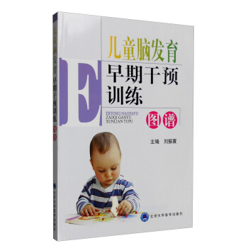 兒童腦發育早期乾預訓練圖譜 pdf epub mobi 下载