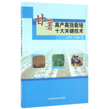 甘薯高产高效栽培十大关键技术 pdf epub mobi 下载