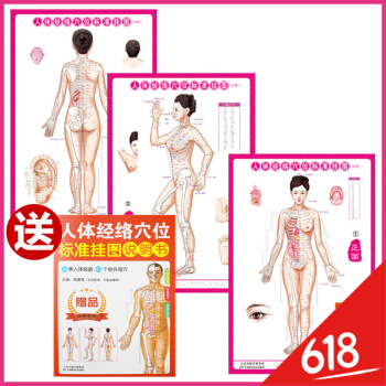 人体经络穴位标准大图册挂图 人体经络图中医挂图 家庭养生保健挂图女性共3张 医学卫生图男性经络