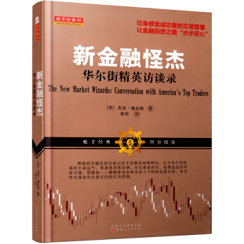 新金融怪杰：华尔街精英访谈录 pdf epub mobi 下载